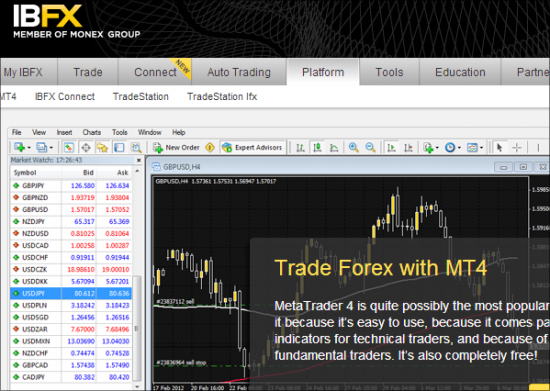 Online Option Trading Courses