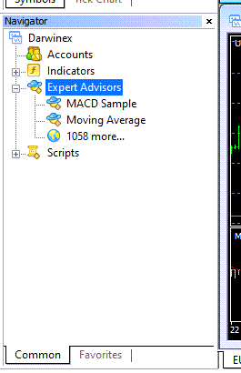 Navigator window in Metatrader 4 Platform