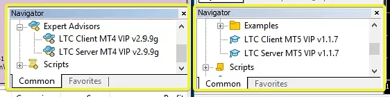 LTC Server EA and Client EA in the MT4 and MT5 Navigator windows